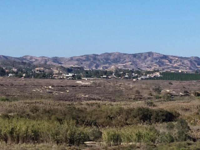 1 soveværelse Finca/Landehus til salg i San Miguel de Salinas - € 150.000 (Ref: 9985620)