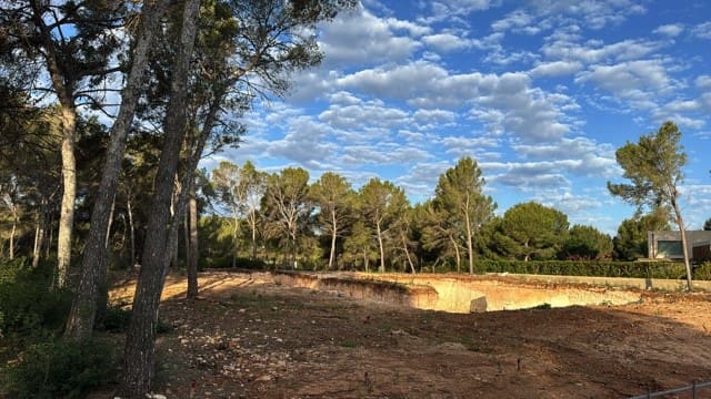 Undeveloped Land for sale in Santa Ponsa - € 2,950,000 (Ref: 8536170)
