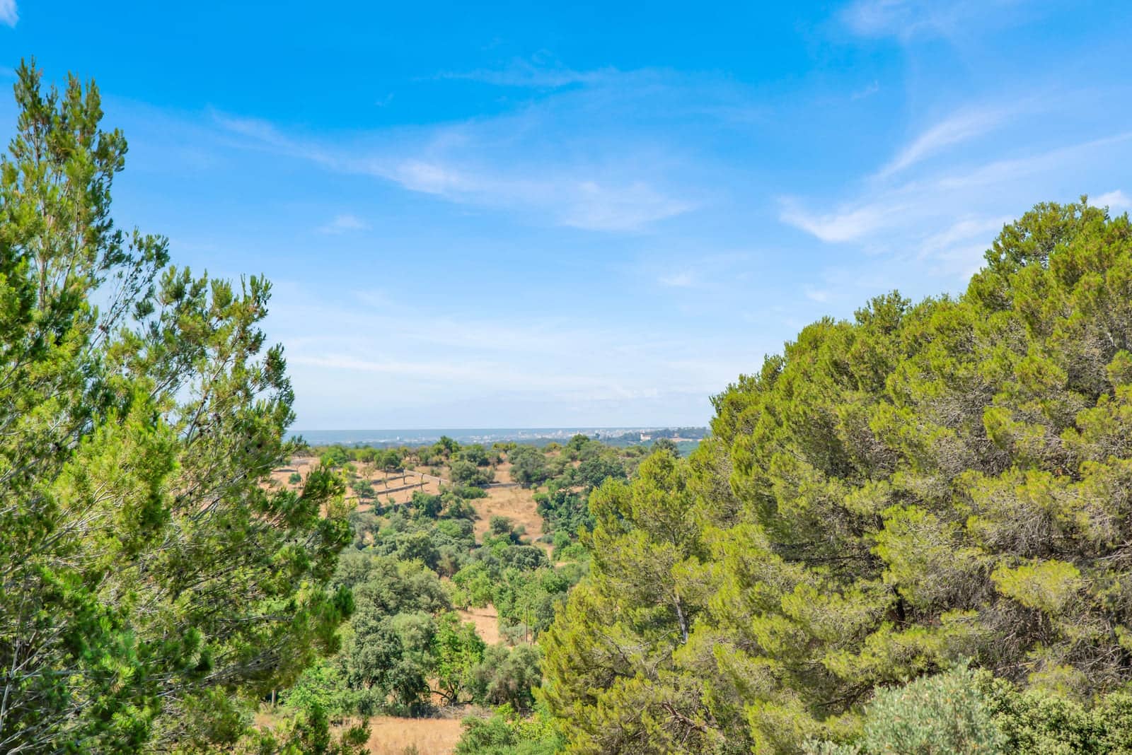 Finca/Casa Rural de 5 habitaciones en Santa María del Camí en venta con piscina garaje - 2.995.000 € (Ref: 9074686)