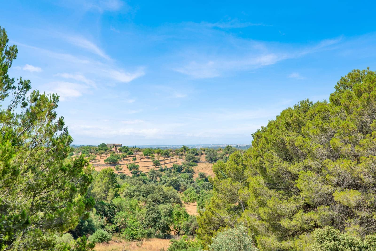 Finca/Casa Rural de 5 habitaciones en Santa María del Camí en venta con piscina garaje - 2.995.000 € (Ref: 9074686)