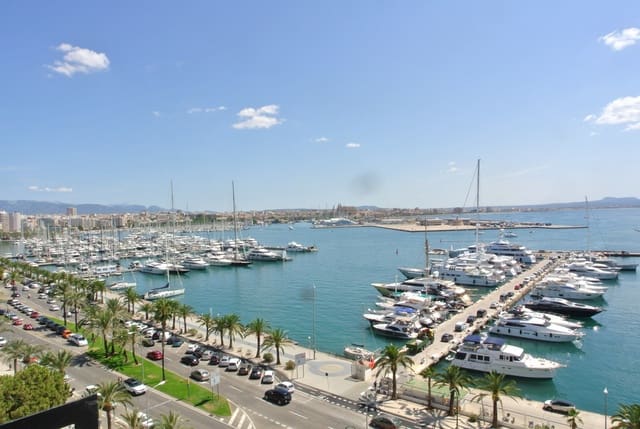 3 bedroom Flat for rent in El Terreno, Palma de Mallorca with pool garage - € 4,700 (Ref: 9312177)