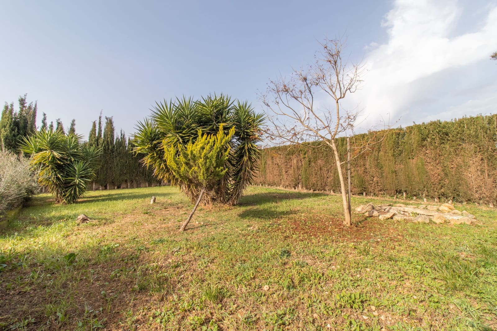 5 soverom Villa til salgs i Biniali med garasje - € 1 000 000 (Ref: 9317035)