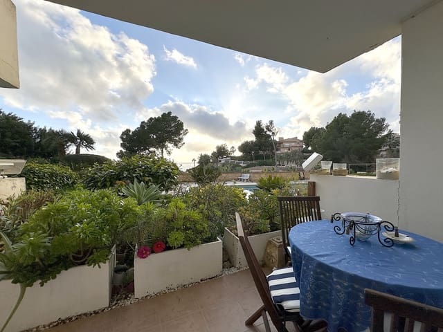 1 bedroom Flat for rent in Costa de la Calma, Calvià with pool - € 1,000 (Ref: 9506350)