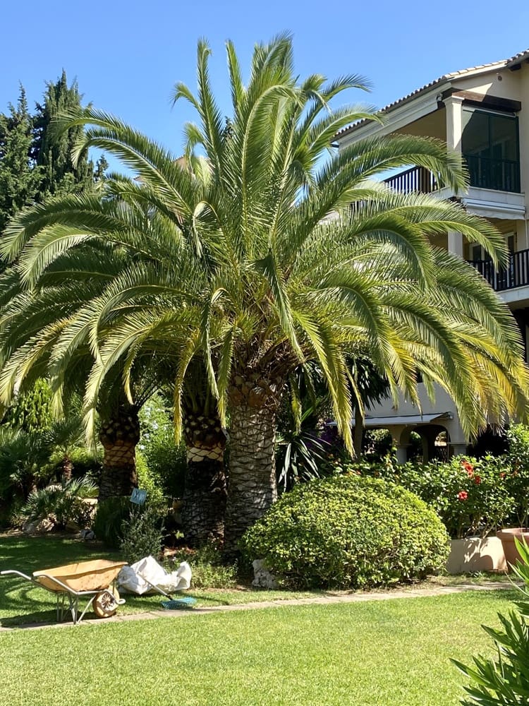 3 quarto Apartamento para venda em Bendinat com piscina garagem - 595 000 € (Ref: 9565713)