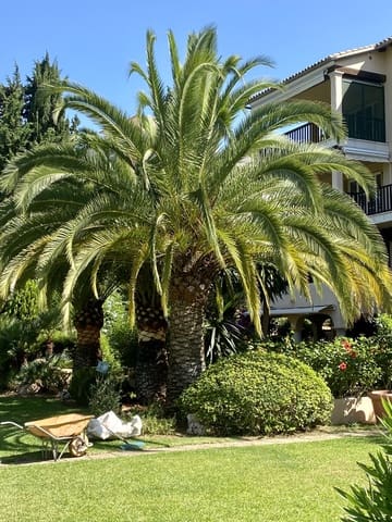 3 quarto Apartamento para venda em Bendinat, Calvià com piscina garagem - 595 000 € (Ref: 9565713)