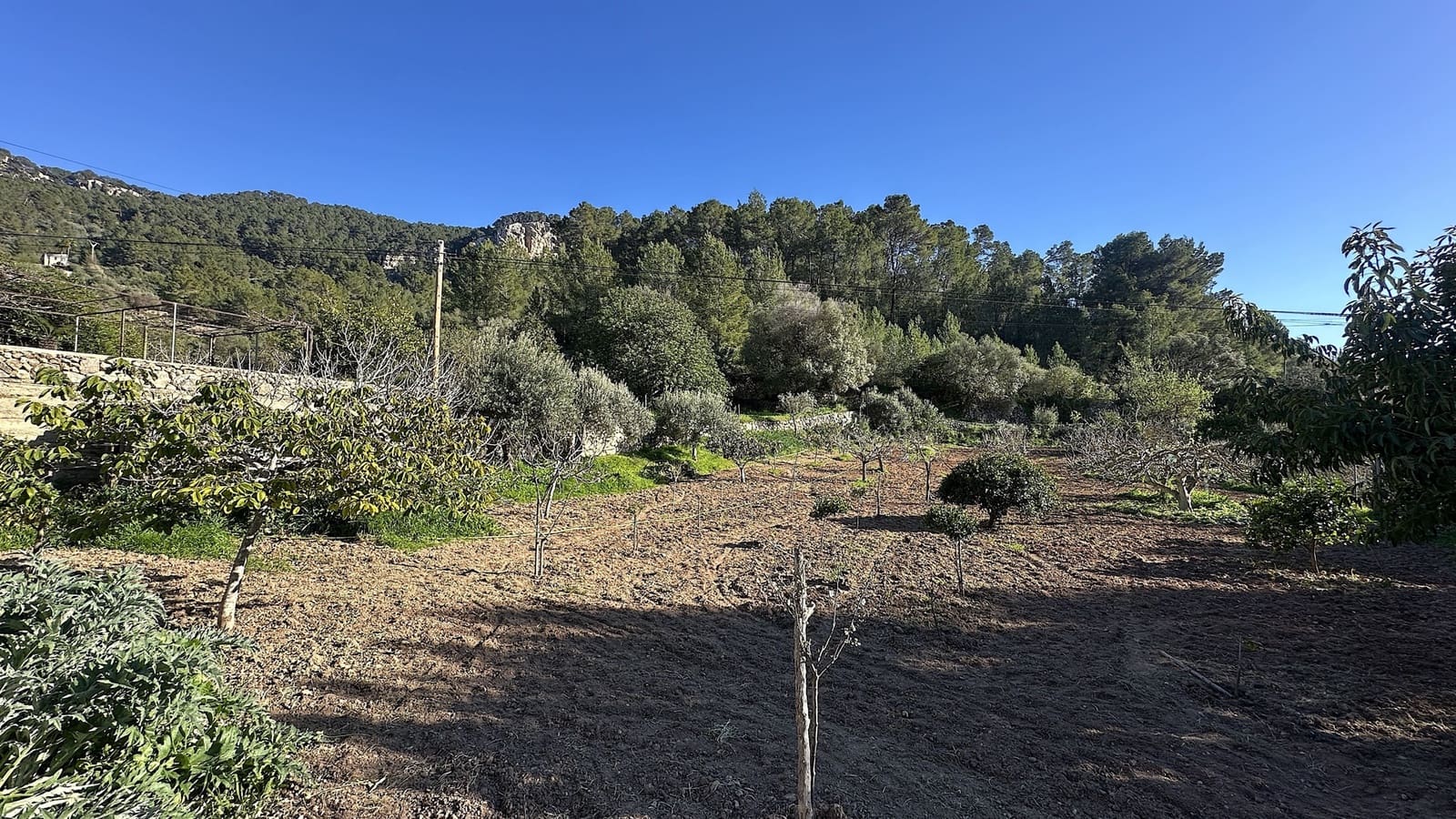 3 bedroom Finca/Country House for sale in Andratx with garage - € 1,325,000 (Ref: 9646304)