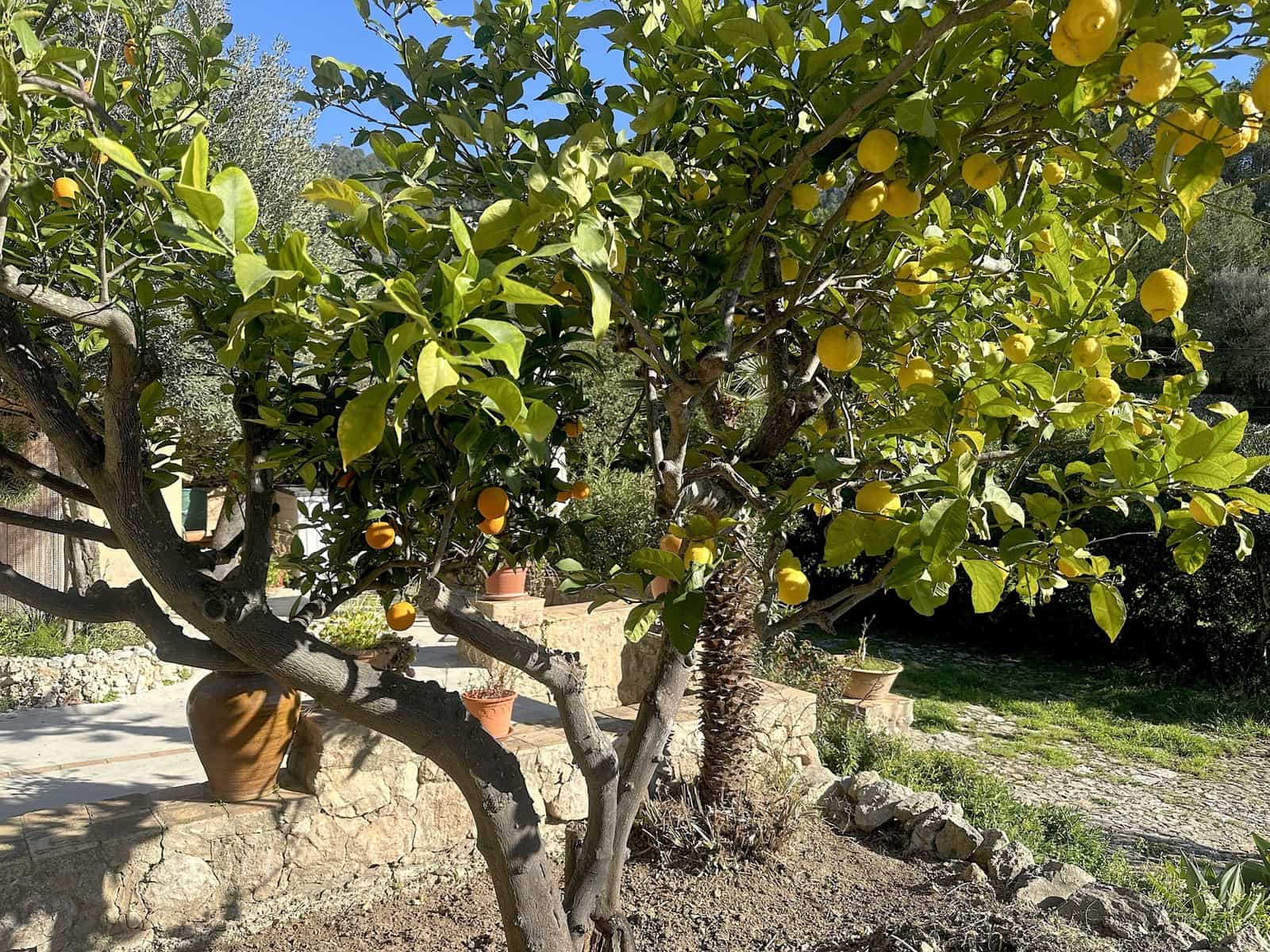 3 bedroom Finca/Country House for sale in Andratx with garage - € 1,325,000 (Ref: 9646304)