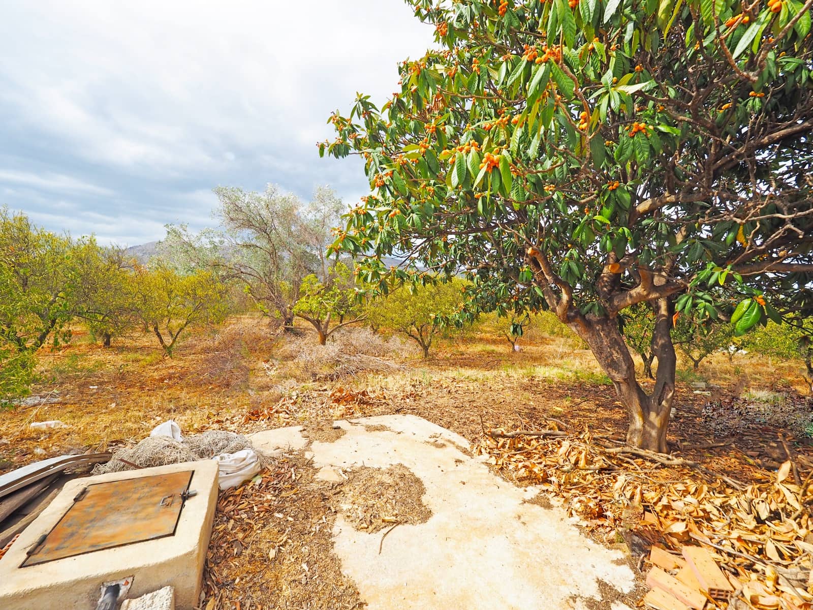 Ruïne te koop in Sanet i Negrals - € 125.000 (Ref: 8527424)