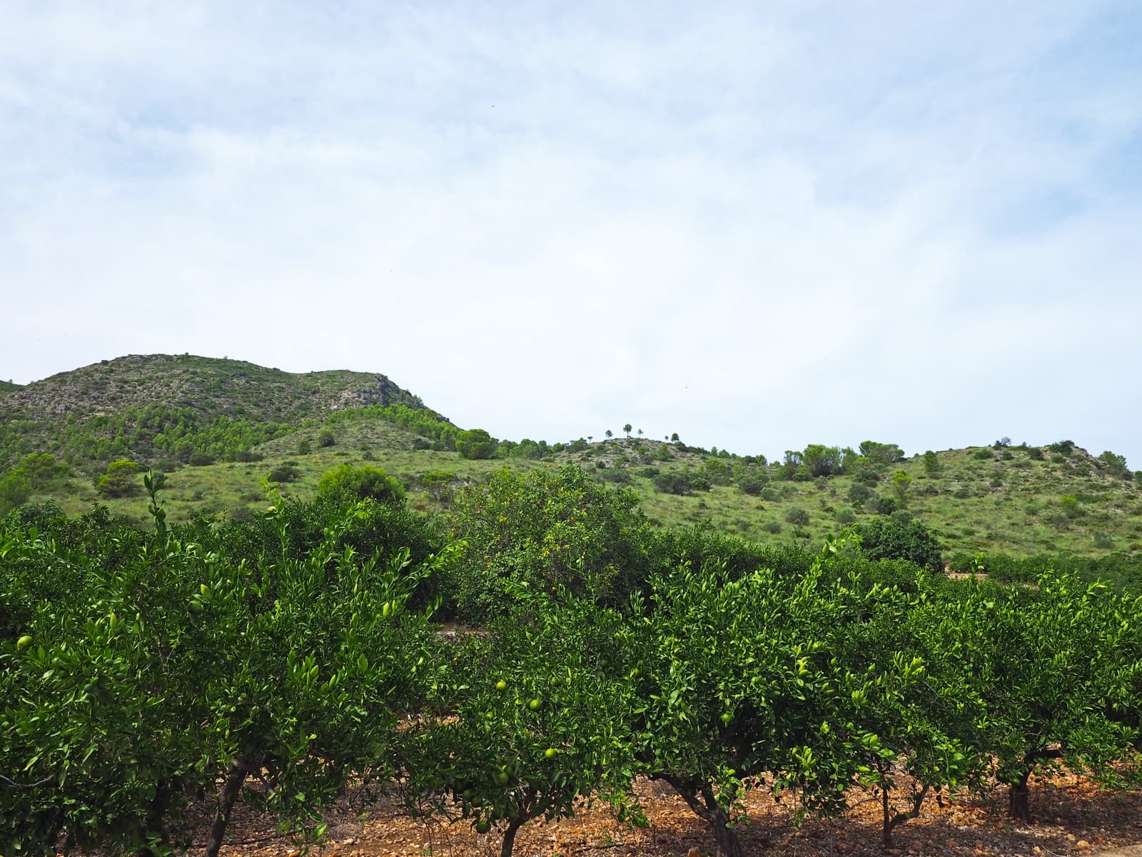 Grunde uden byggetilladelser til salg i Pego - € 1.600.000 (Ref: 8599189)