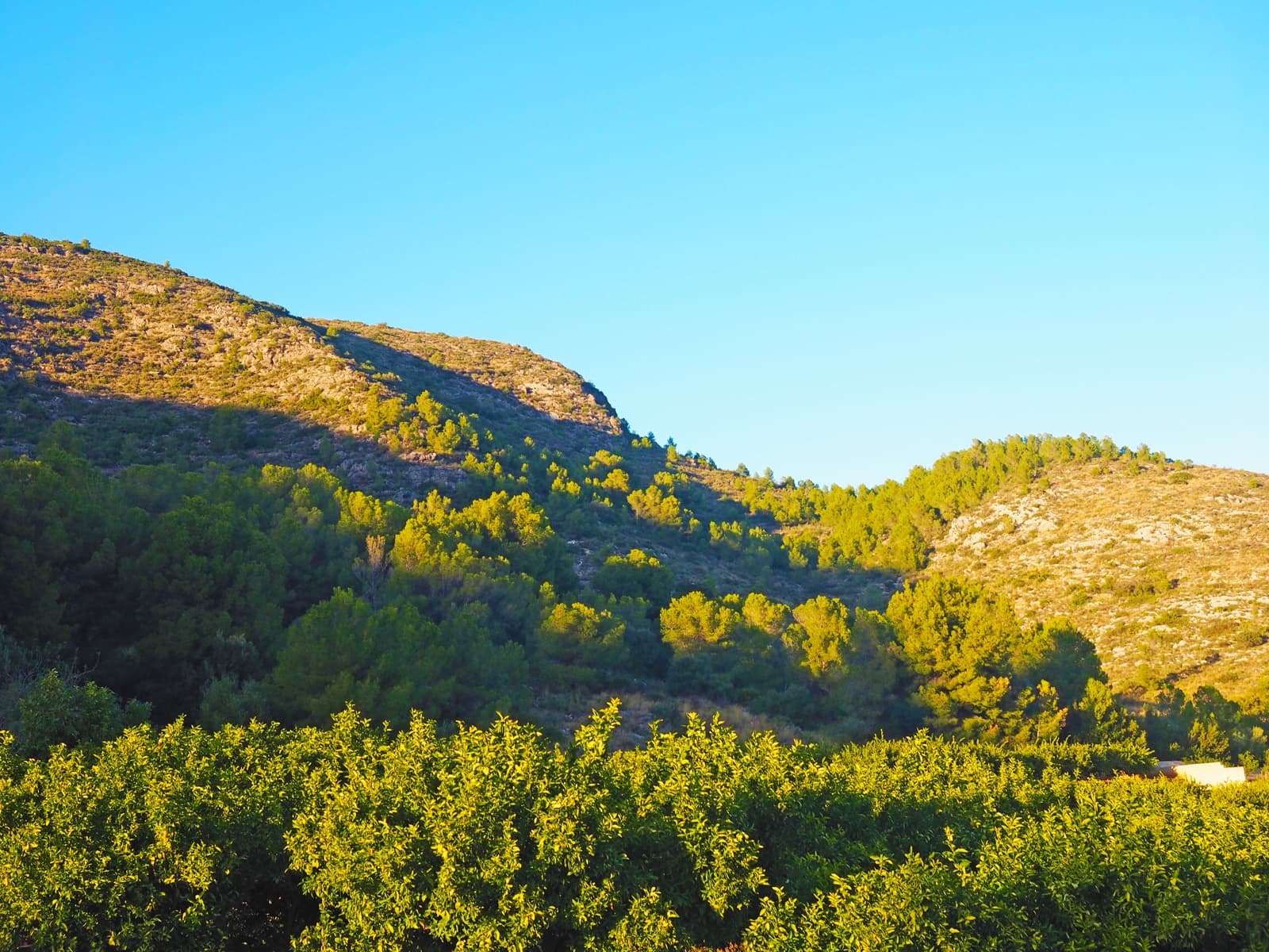 Grunde uden byggetilladelser til salg i Pego - € 1.600.000 (Ref: 8599189)