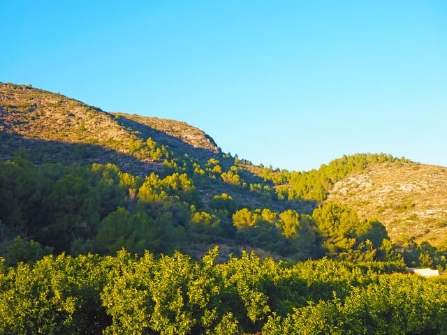 Teren niezagospodarowany na sprzedaż w Pego - 1 600 000 € (Ref: 8599189)