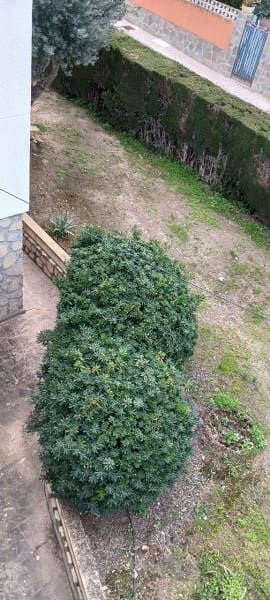 6 soveværelse Finca/Landehus til salg i Denia med swimmingpool garage - € 1.100.000 (Ref: 8764742)