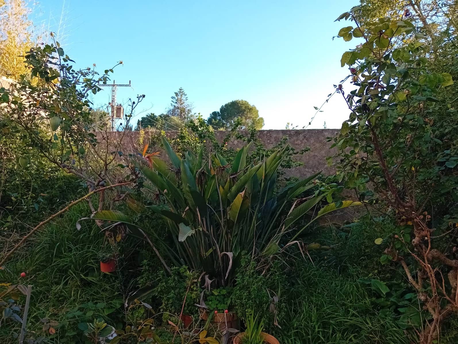 5 quarto Casa em Banda para venda em Tormos - 175 000 € (Ref: 8828493)