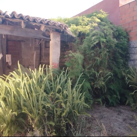 Building Plot for sale in Miramar - € 93,300 (Ref: 9198683)