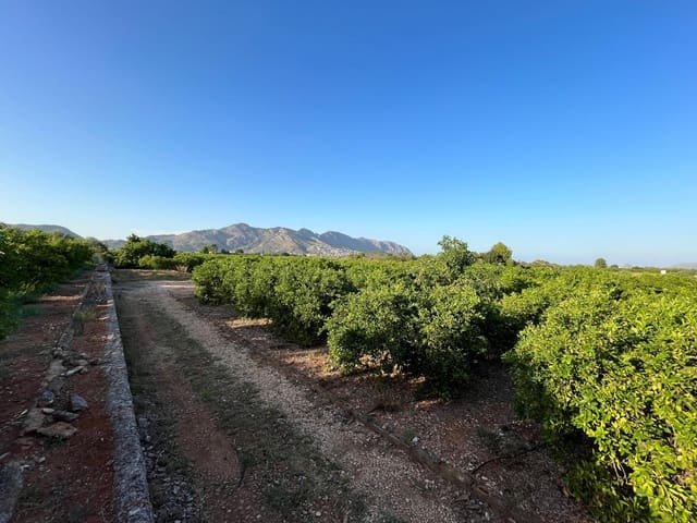 Undeveloped Land for sale in Benidoleig - € 159,000 (Ref: 9322427)