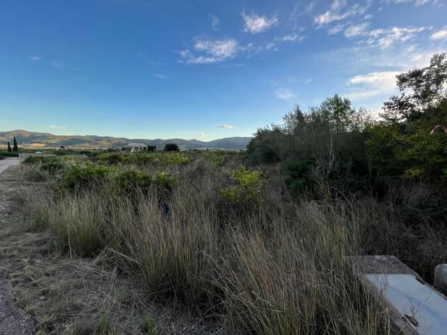 Landgrundstück zu verkaufen in Sagra - 18.000 € (Ref: 9322428)