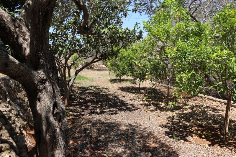 6 sovrum Villa till salu i Denia med pool garage - 900 000 € (Ref: 9325903)