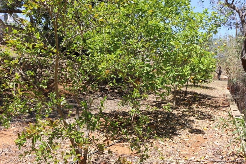 6 sovrum Villa till salu i Denia med pool garage - 900 000 € (Ref: 9325903)