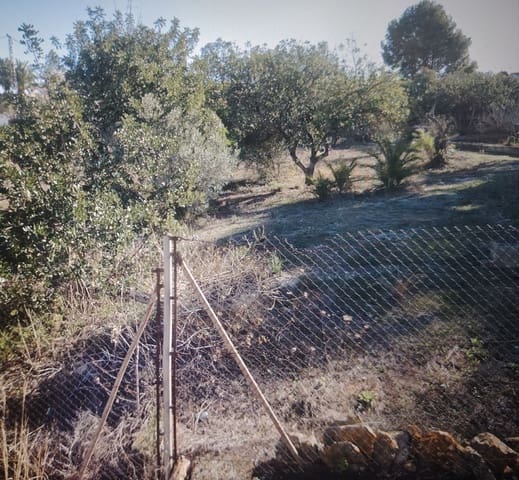 Terre non Aménagée à vendre à Dénia - 220 000 € (Ref: 9442857)