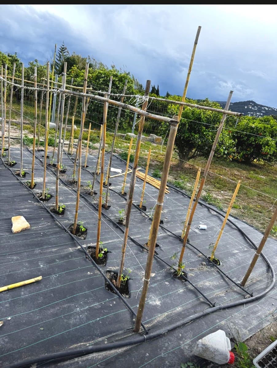 1 sypialnia Finka/Dom wiejski na sprzedaż w Oliva - 89 000 € (Ref: 9449920)