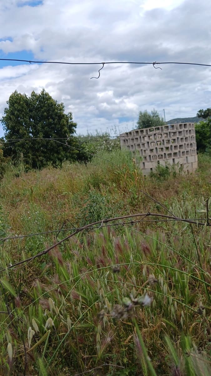 Rakentamaton maa myytävänä paikassa Pedreguer - 35 000 € (Ref: 9488014)