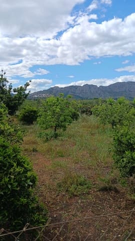 Rakentamaton maa myytävänä paikassa Pedreguer - 35 000 € (Ref: 9488014)