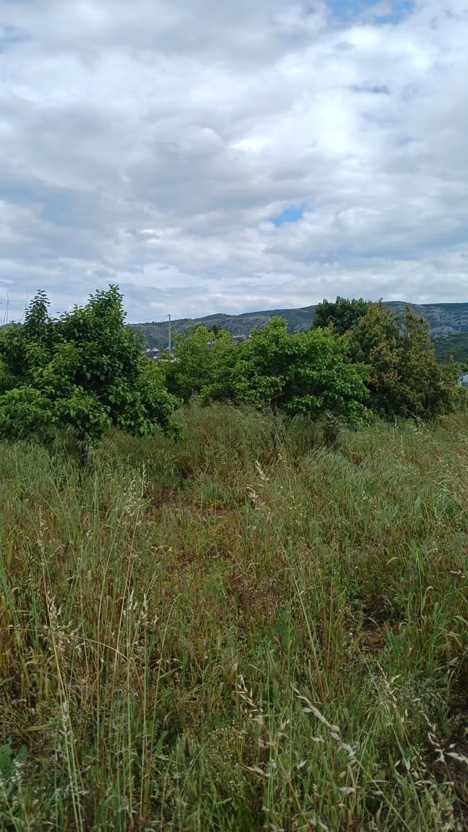 Rakentamaton maa myytävänä paikassa Pedreguer - 35 000 € (Ref: 9488014)