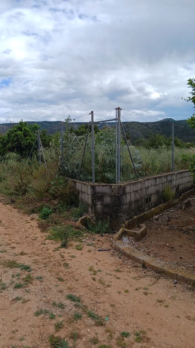 Rakentamaton maa myytävänä paikassa Pedreguer - 35 000 € (Ref: 9488014)