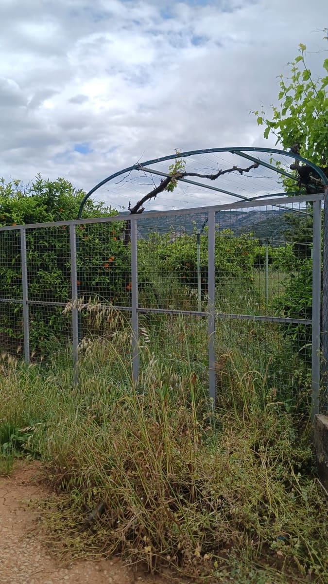 Rakentamaton maa myytävänä paikassa Pedreguer - 35 000 € (Ref: 9488014)