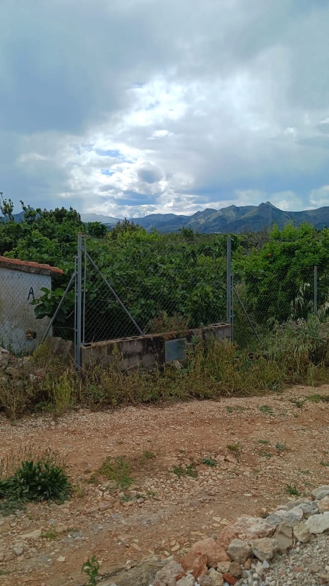 Rakentamaton maa myytävänä paikassa Pedreguer - 35 000 € (Ref: 9488014)