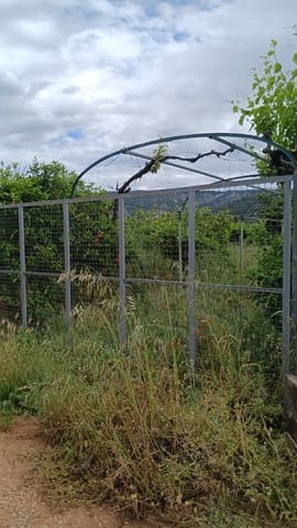 Rakentamaton maa myytävänä paikassa Pedreguer - 35 000 € (Ref: 9488014)