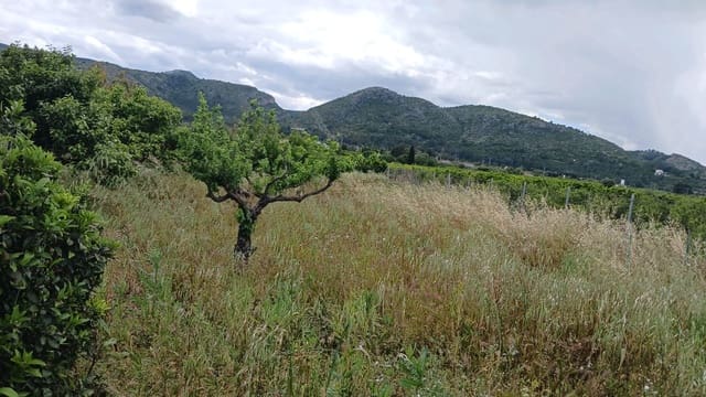 Rakentamaton maa myytävänä paikassa Pedreguer - 35 000 € (Ref: 9488014)