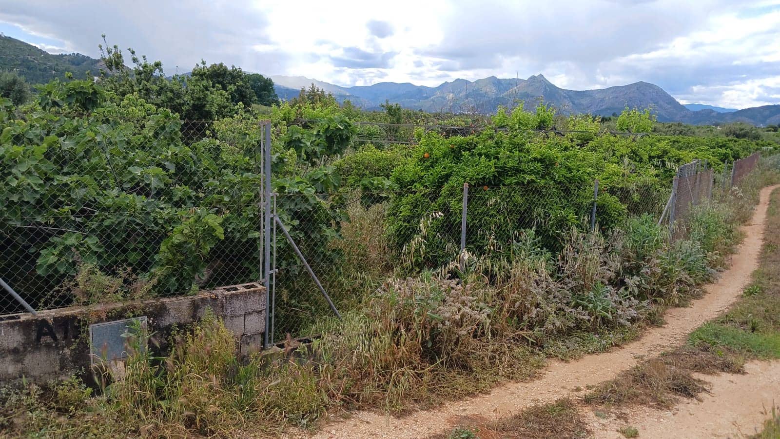 Rakentamaton maa myytävänä paikassa Pedreguer - 35 000 € (Ref: 9488014)