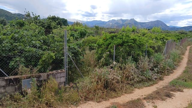 Rakentamaton maa myytävänä paikassa Pedreguer - 35 000 € (Ref: 9488014)