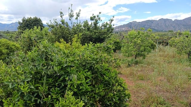 Rakentamaton maa myytävänä paikassa Pedreguer - 35 000 € (Ref: 9488014)