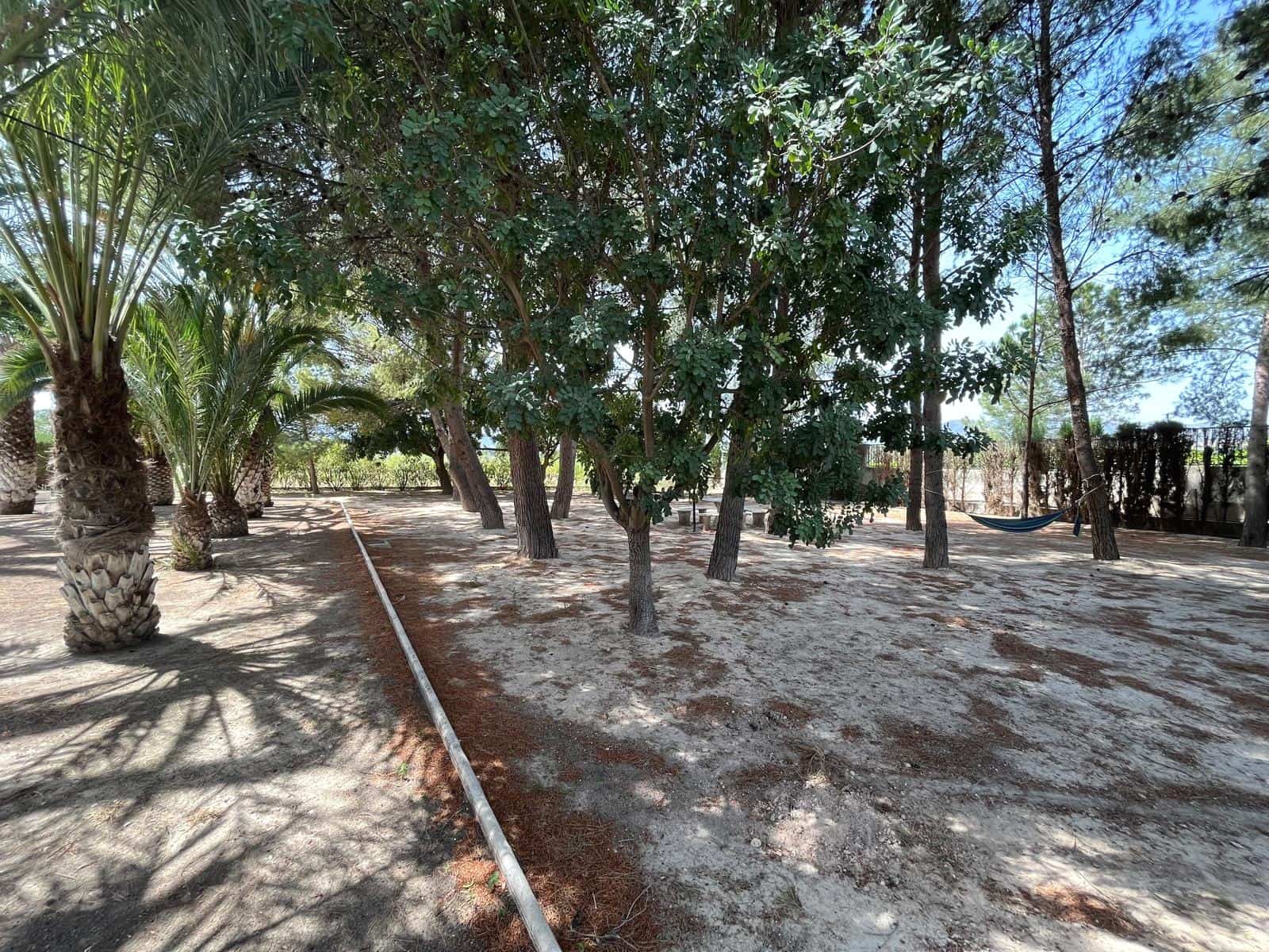 13 sypialnia Finka/Dom wiejski na sprzedaż w Elda z basenem garażem - 980 000 € (Ref: 9548491)