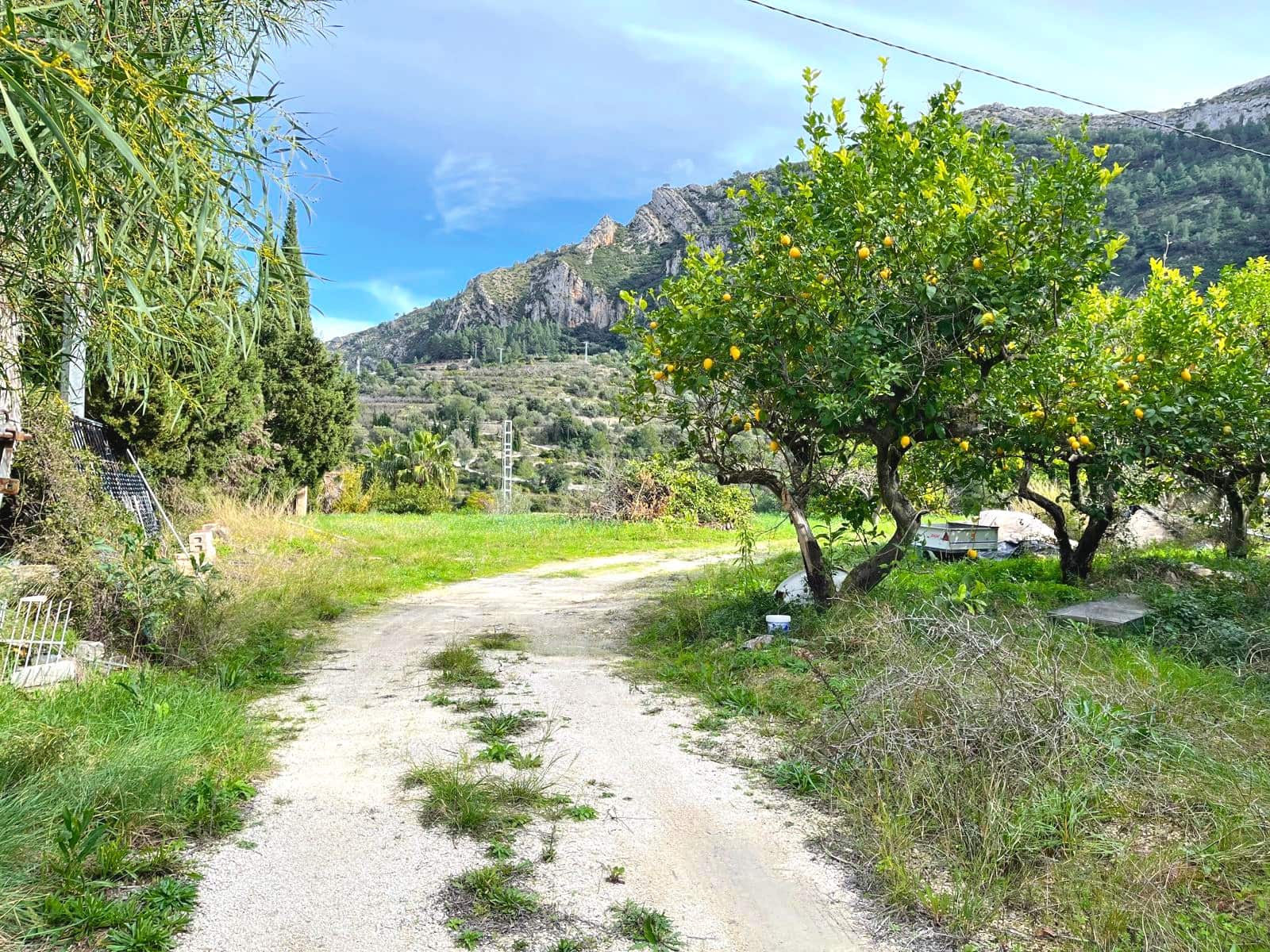 3 bedroom Finca/Country House for sale in Alcalali / Alcanali with garage - € 299,000 (Ref: 9584584)