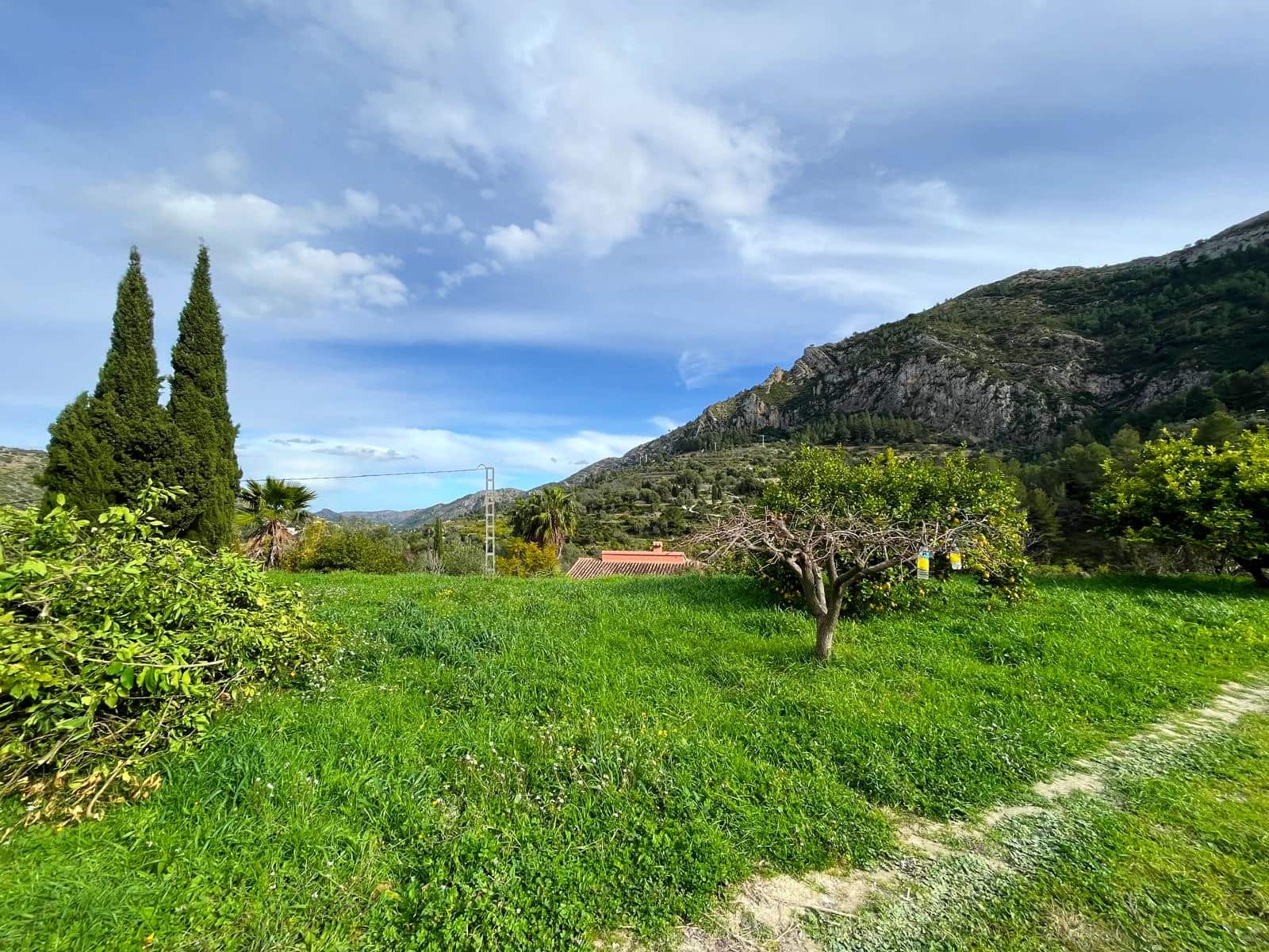 3 bedroom Finca/Country House for sale in Alcalali / Alcanali with garage - € 299,000 (Ref: 9584584)