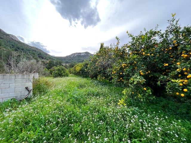 3 soveværelse Finca/Landehus til salg i Alcalalí / Alcanalí med garage - € 290.000 (Ref: 9584584)