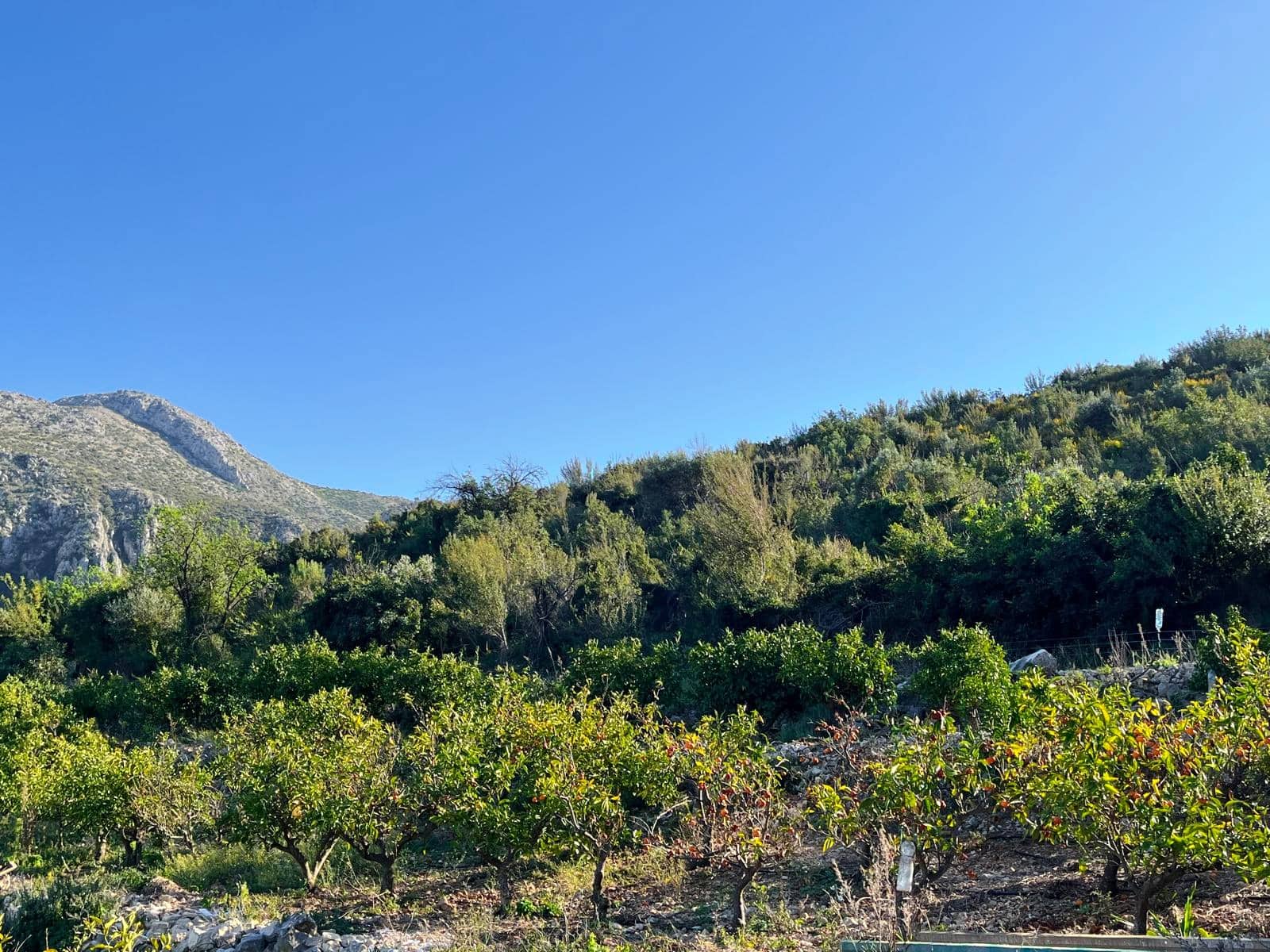 3 slaapkamer Finca/Landhuis te koop in Pego met garage - € 890.000 (Ref: 9629509)