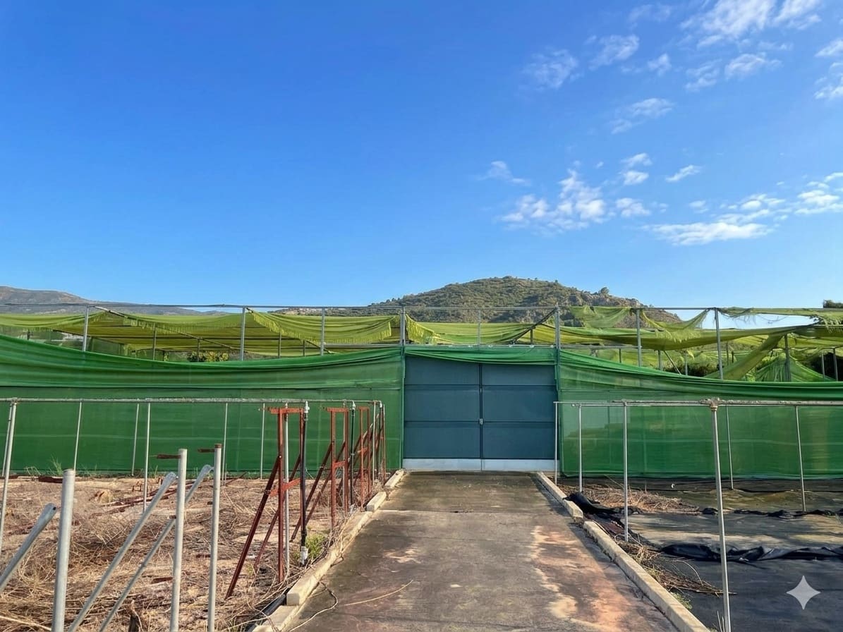 Finca/Country House for sale in Pedreguer - € 250,000 (Ref: 9672324)