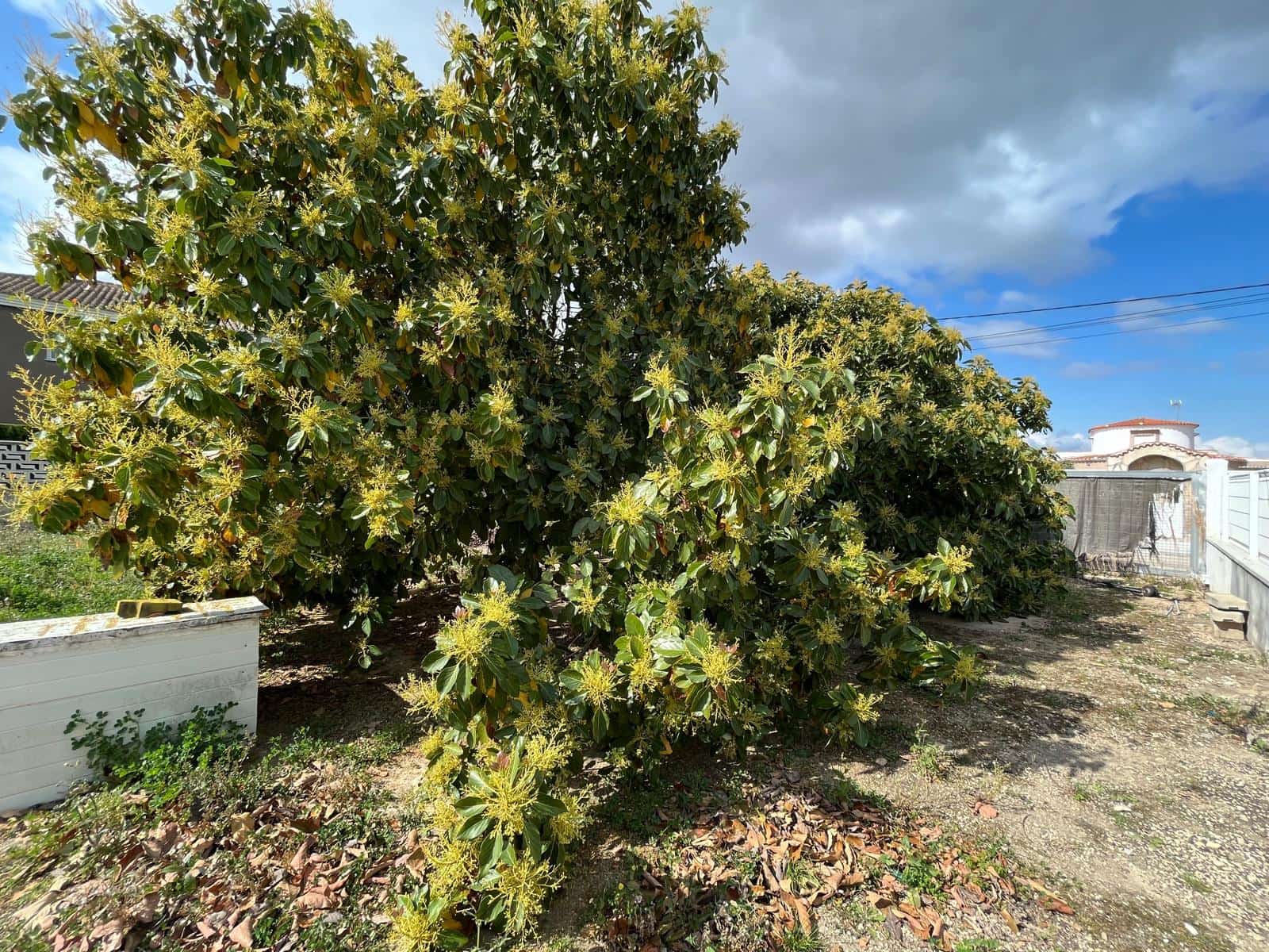 Finca/Casa Rural de 5 habitaciones en Oliva en venta con piscina garaje - 518.000 € (Ref: 9683296)