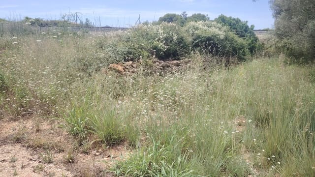 Solar/Parcela en Alcalalí / Alcanalí en venta - 69.000 € (Ref: 9909870)