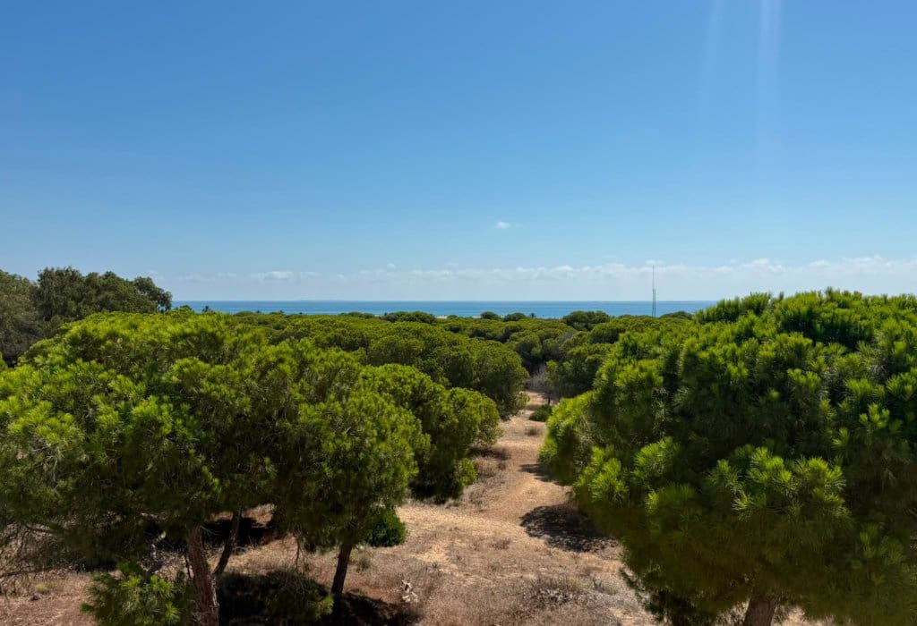 3 soveværelse Penthouse til salg i Guardamar del Segura - € 255.000 (Ref: 10016743)