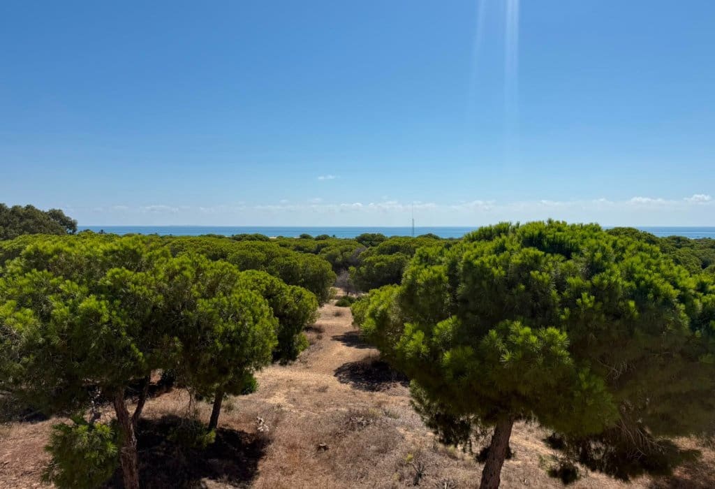 3 soveværelse Penthouse til salg i Guardamar del Segura - € 255.000 (Ref: 10016743)