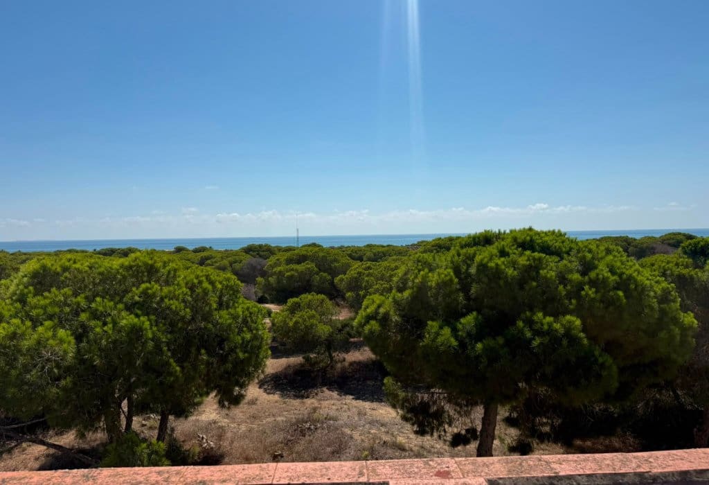 3 soveværelse Penthouse til salg i Guardamar del Segura - € 255.000 (Ref: 10016743)