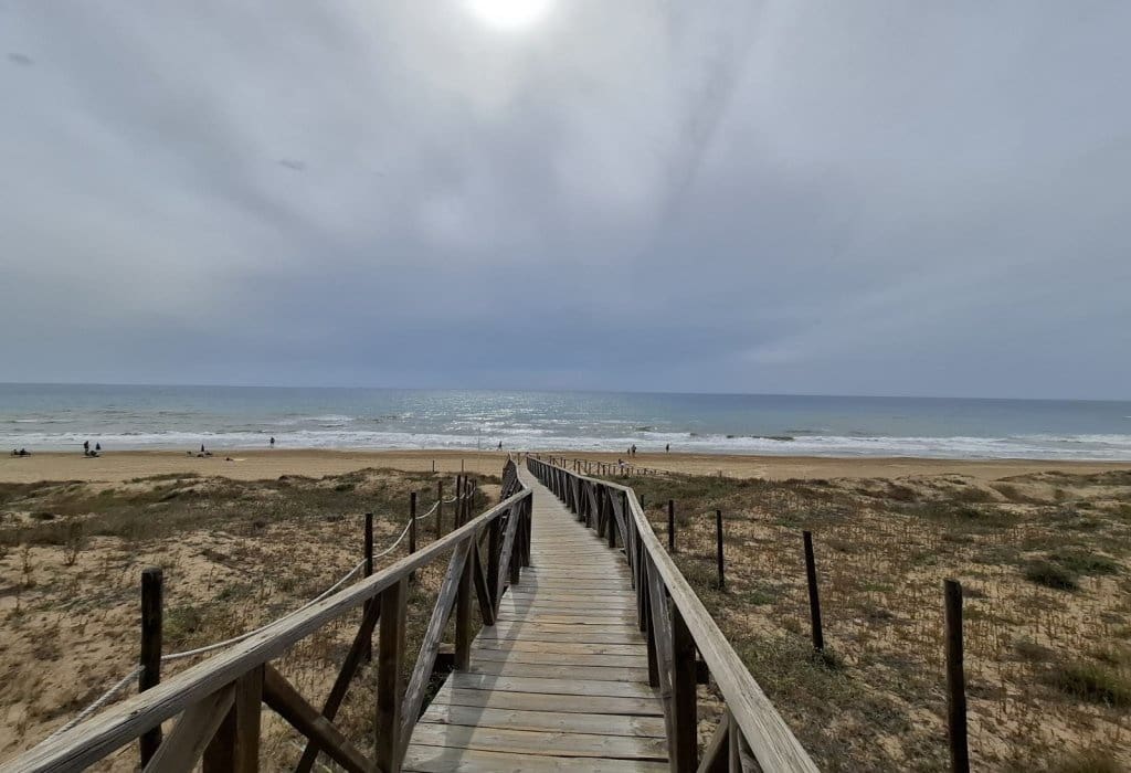 4 bedroom Apartment for sale in Guardamar del Segura with garage - € 220,000 (Ref: 9050035)