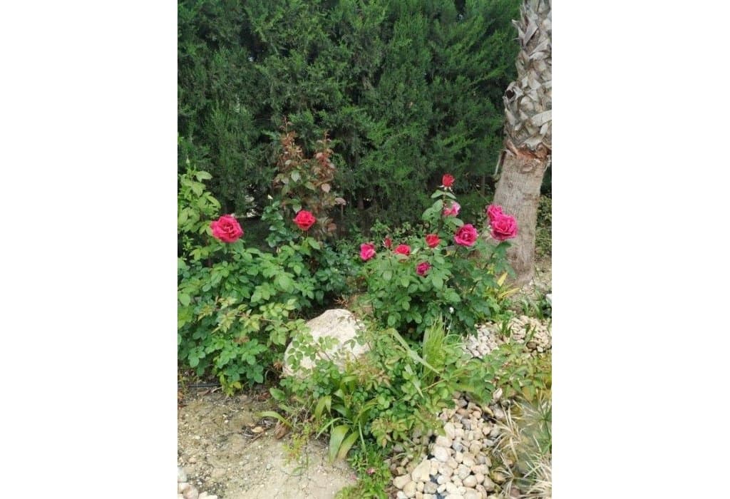 5 soveværelse Finca/Landehus til salg i Crevillente / Crevillent med swimmingpool - € 479.000 (Ref: 9084716)