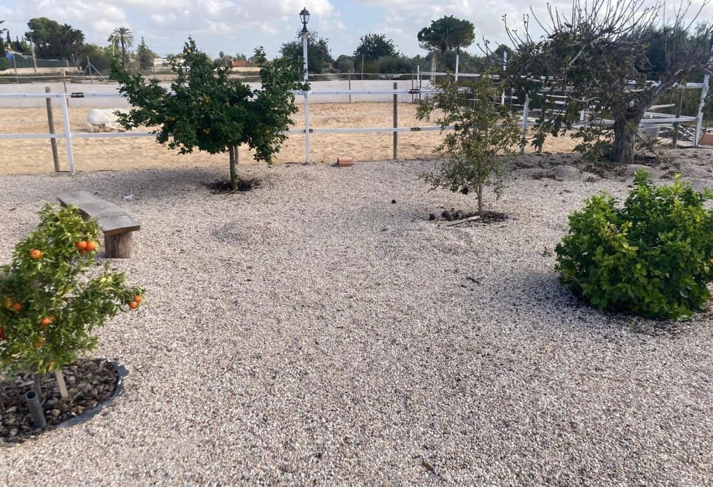 5 soveværelse Finca/Landehus til salg i Crevillente / Crevillent med swimmingpool - € 479.000 (Ref: 9084716)