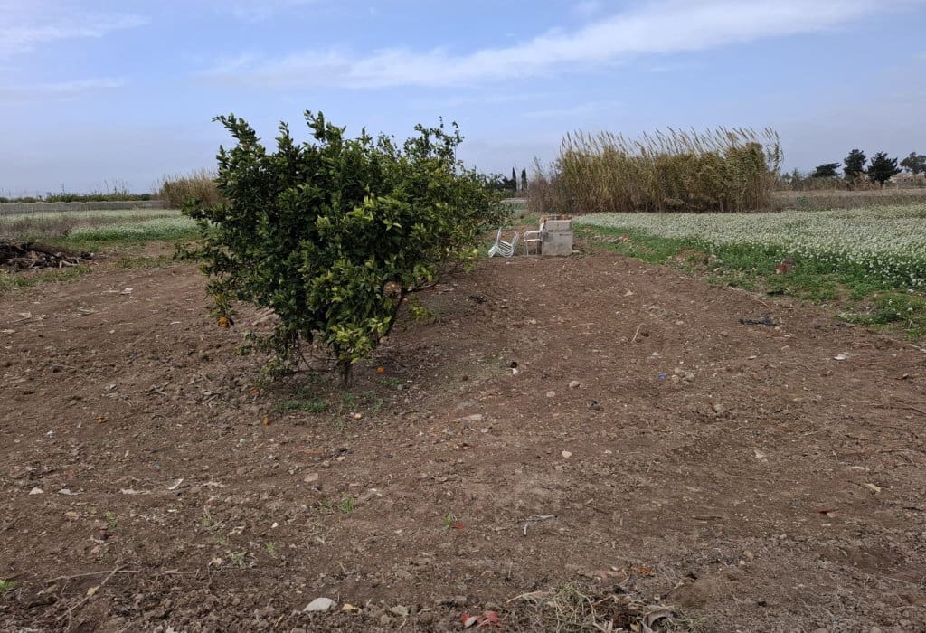 Area Edificabile in vendita in Guardamar del Segura - 23.000 € (Rif: 9133263)